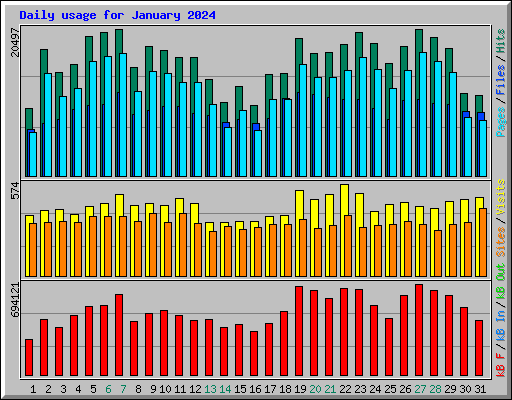 Daily usage for January 2024