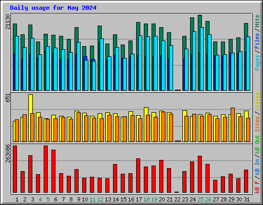 Daily usage for May 2024