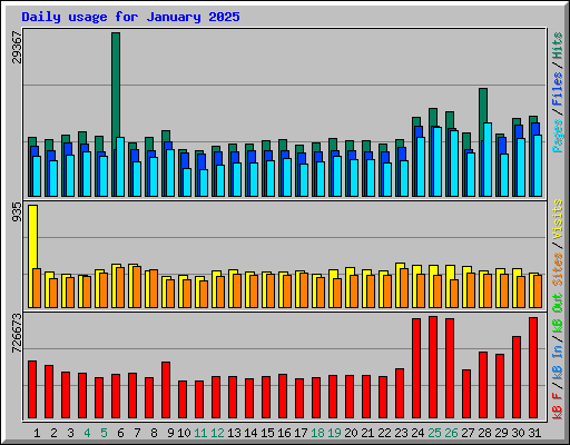 Daily usage for January 2025