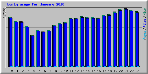 Hourly usage for January 2010