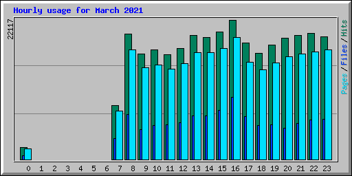 Hourly usage for March 2021