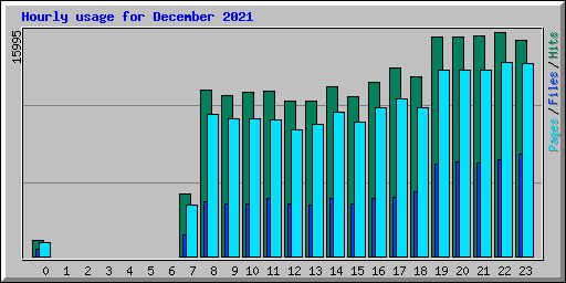 Hourly usage for December 2021