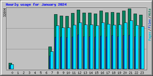 Hourly usage for January 2024