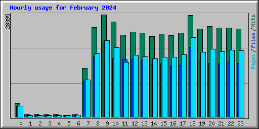 Hourly usage for February 2024