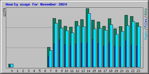 Hourly usage for November 2024
