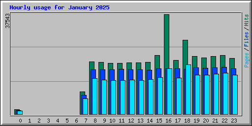 Hourly usage for January 2025