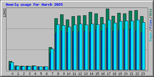 Hourly usage for March 2025