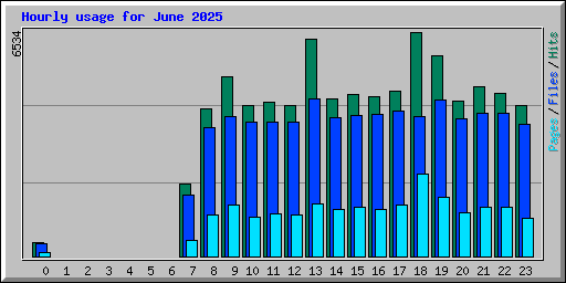 Hourly usage for June 2025