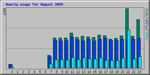 Hourly usage for August 2025