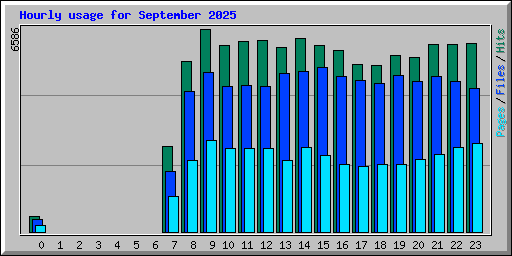 Hourly usage for September 2025