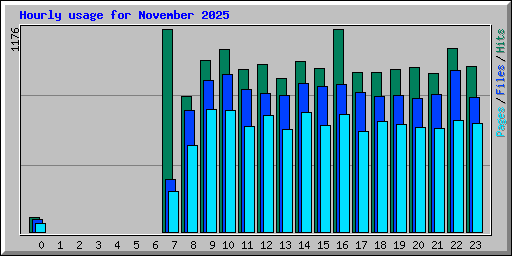 Hourly usage for November 2025