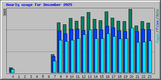 Hourly usage for December 2025