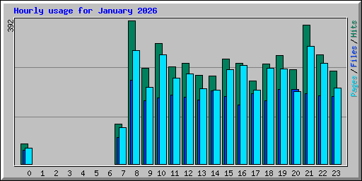 Hourly usage for January 2026