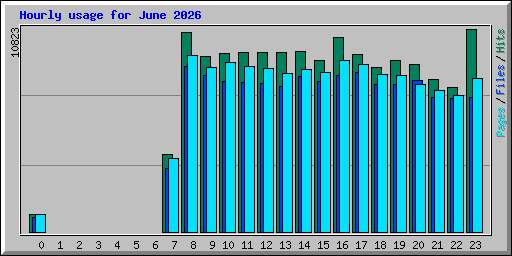 Hourly usage for June 2026