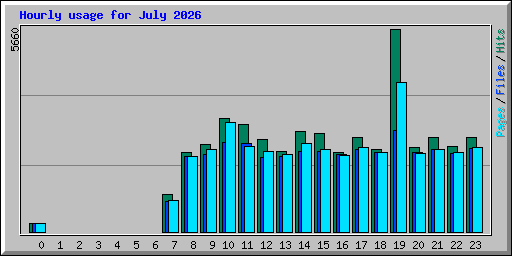 Hourly usage for July 2026