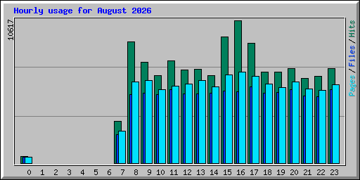 Hourly usage for August 2026